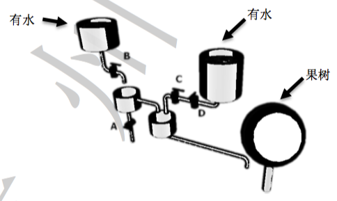 题目插图